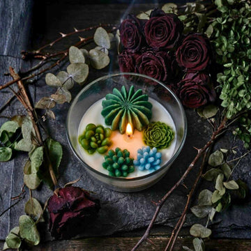 Desert Bloom Succulent Candle Glass by Suryatra