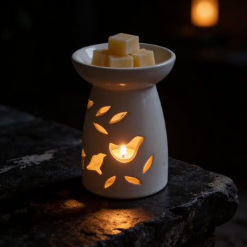 Soft Cream White Colour Ceramic Diffuser by Suryatra