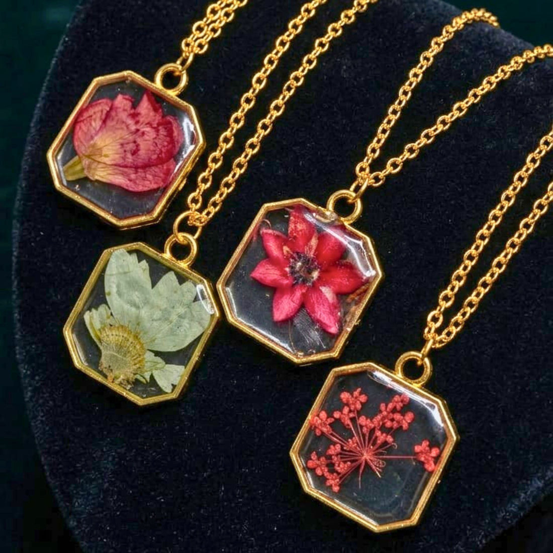 The Hex-Honey Blooms by Suryatra