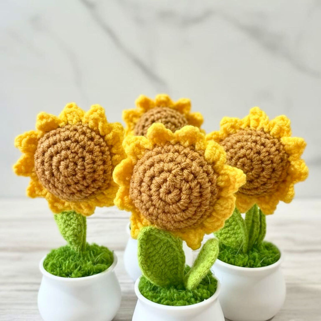 Golden Sun Potted Sunflower by Suryatra