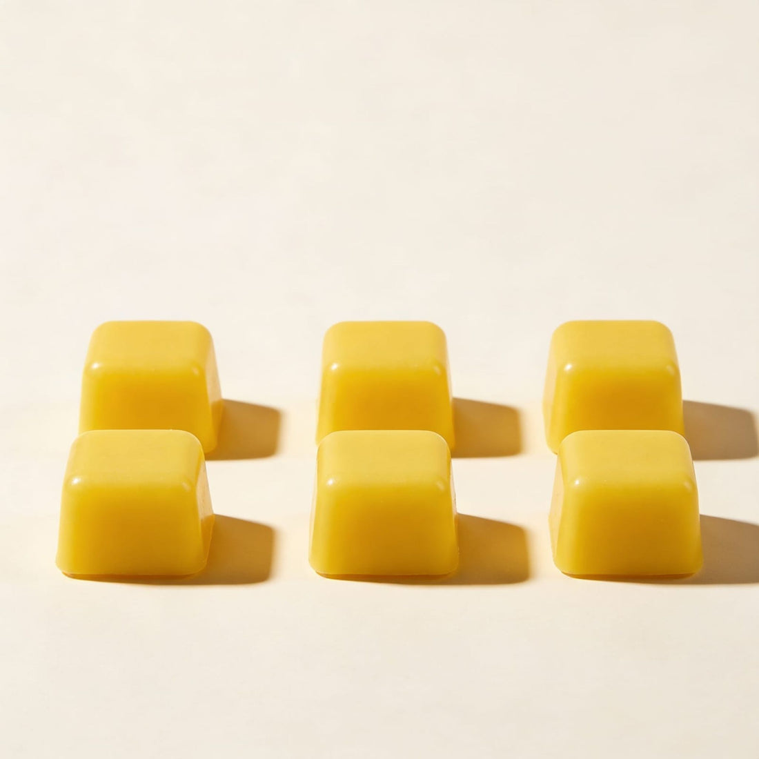 Lemongrass Wax Melts by Suryatra